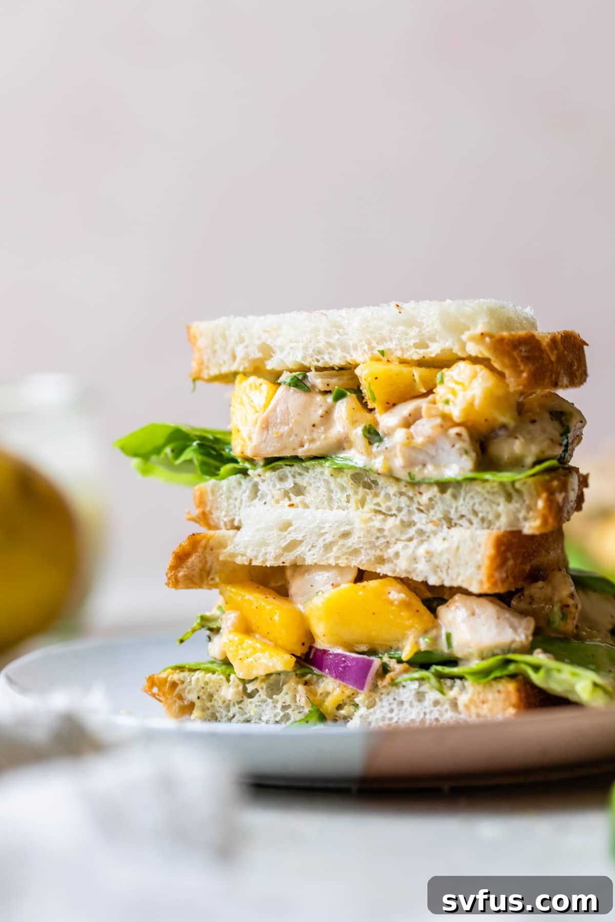 chicken salad sandwich