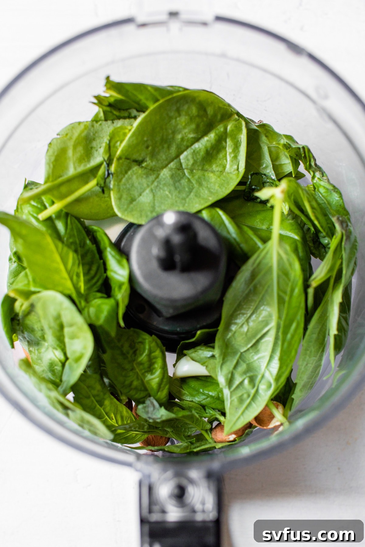 spinach in a food processor