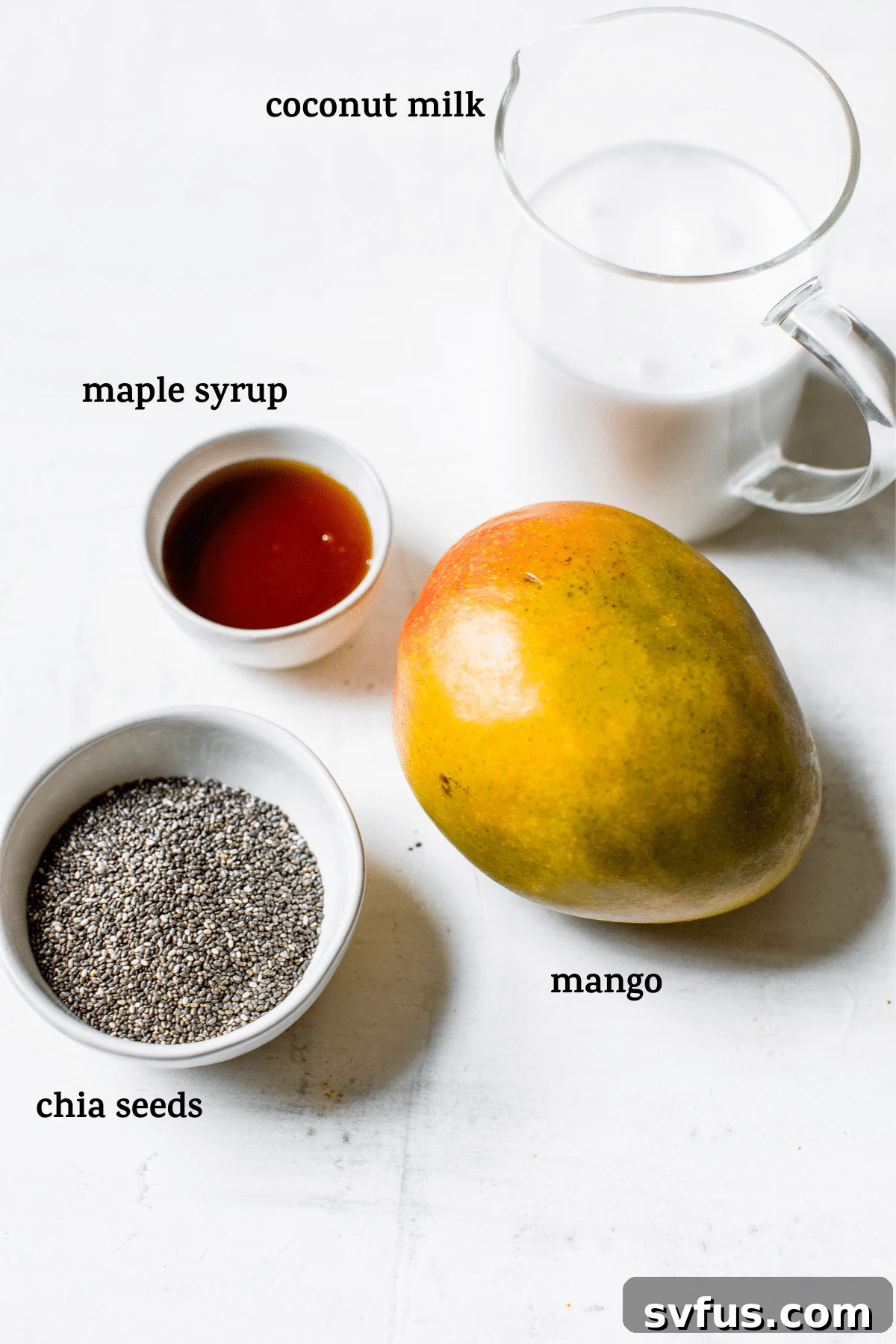 chia pudding ingredients