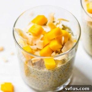 chia pudding topped with mango