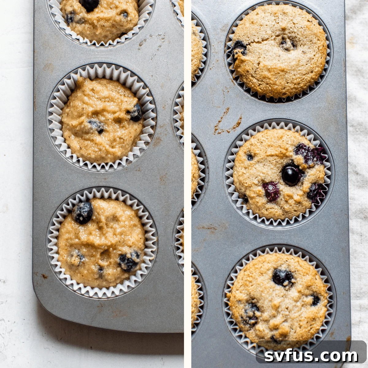 Freshly baked almond flour blueberry muffins cooling in a non-stick muffin tin