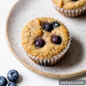 muffin on a plate