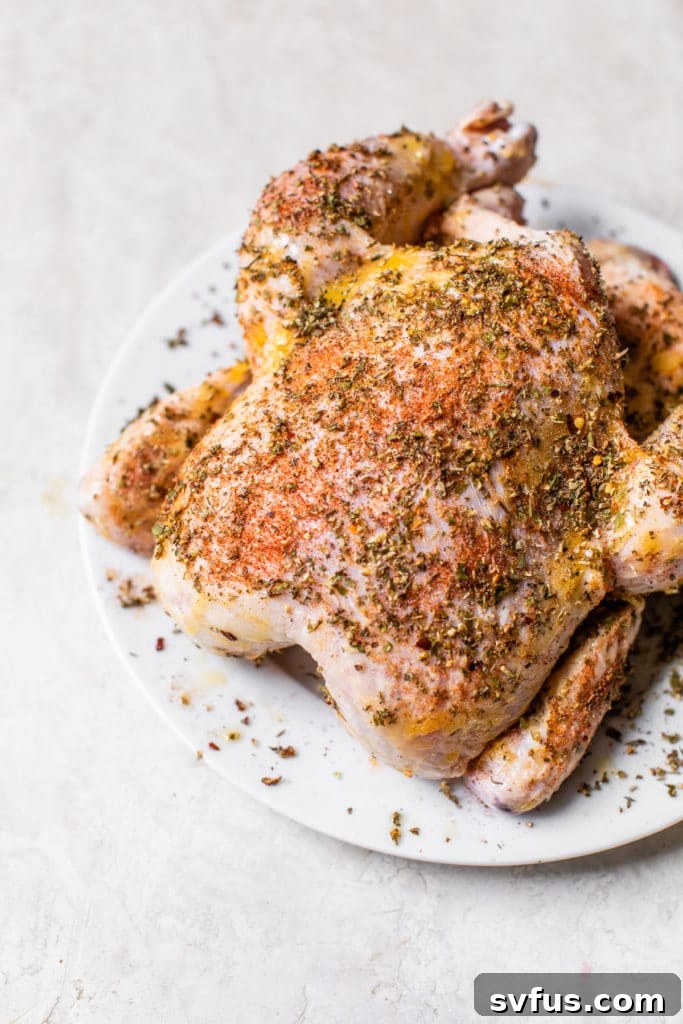 seasoned chicken with dry rub on a plate