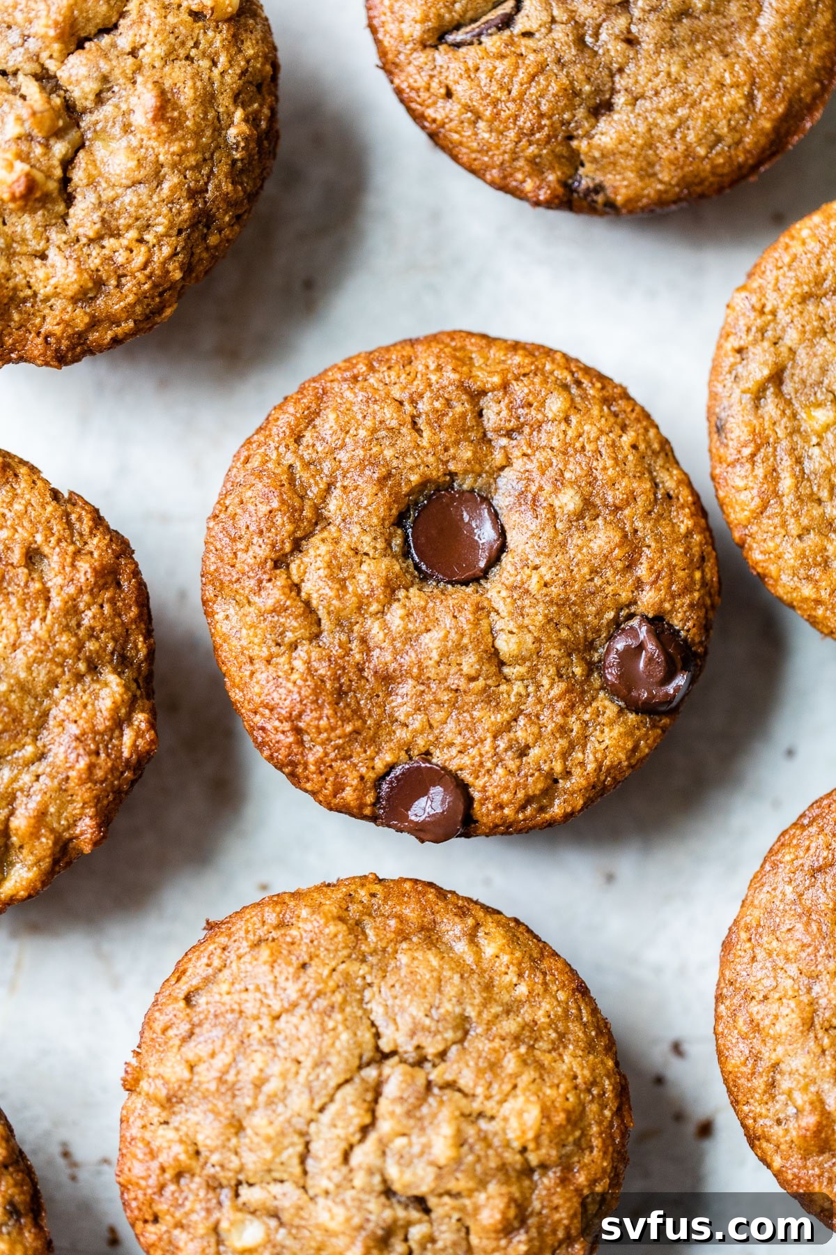 An overhead shot of freshly baked almond flour banana muffins with chocolate chips, cooling on a rack.