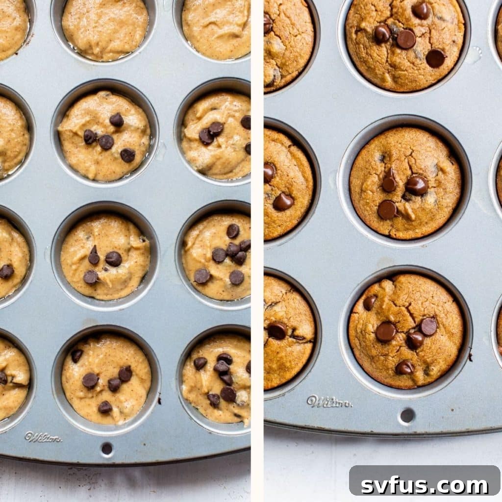 Freshly baked coconut flour banana muffins with melted chocolate chips, resting in a muffin tin, still warm from the oven.