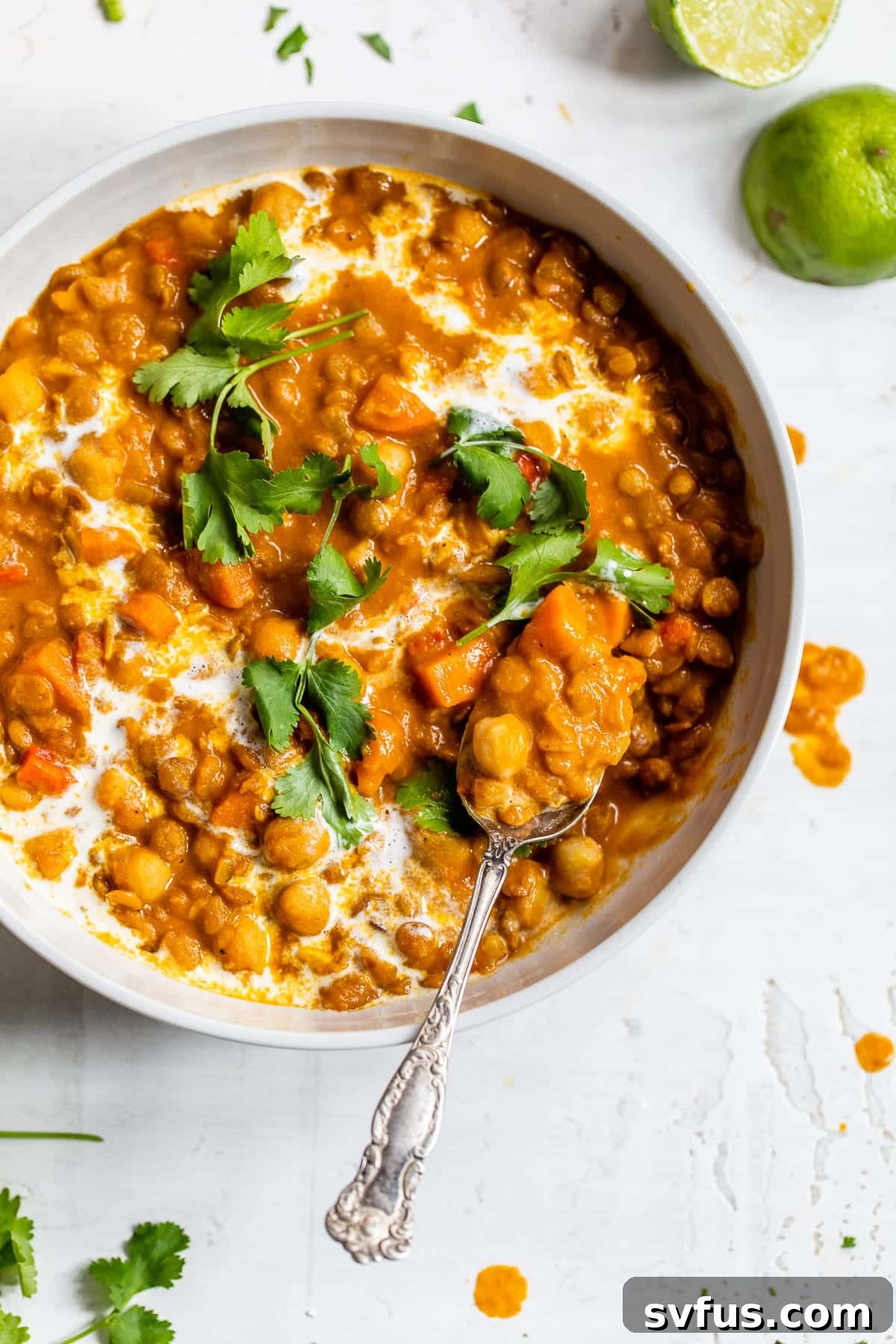 A vibrant bowl of chickpea and lentil curry, garnished with fresh cilantro, ready to be served.