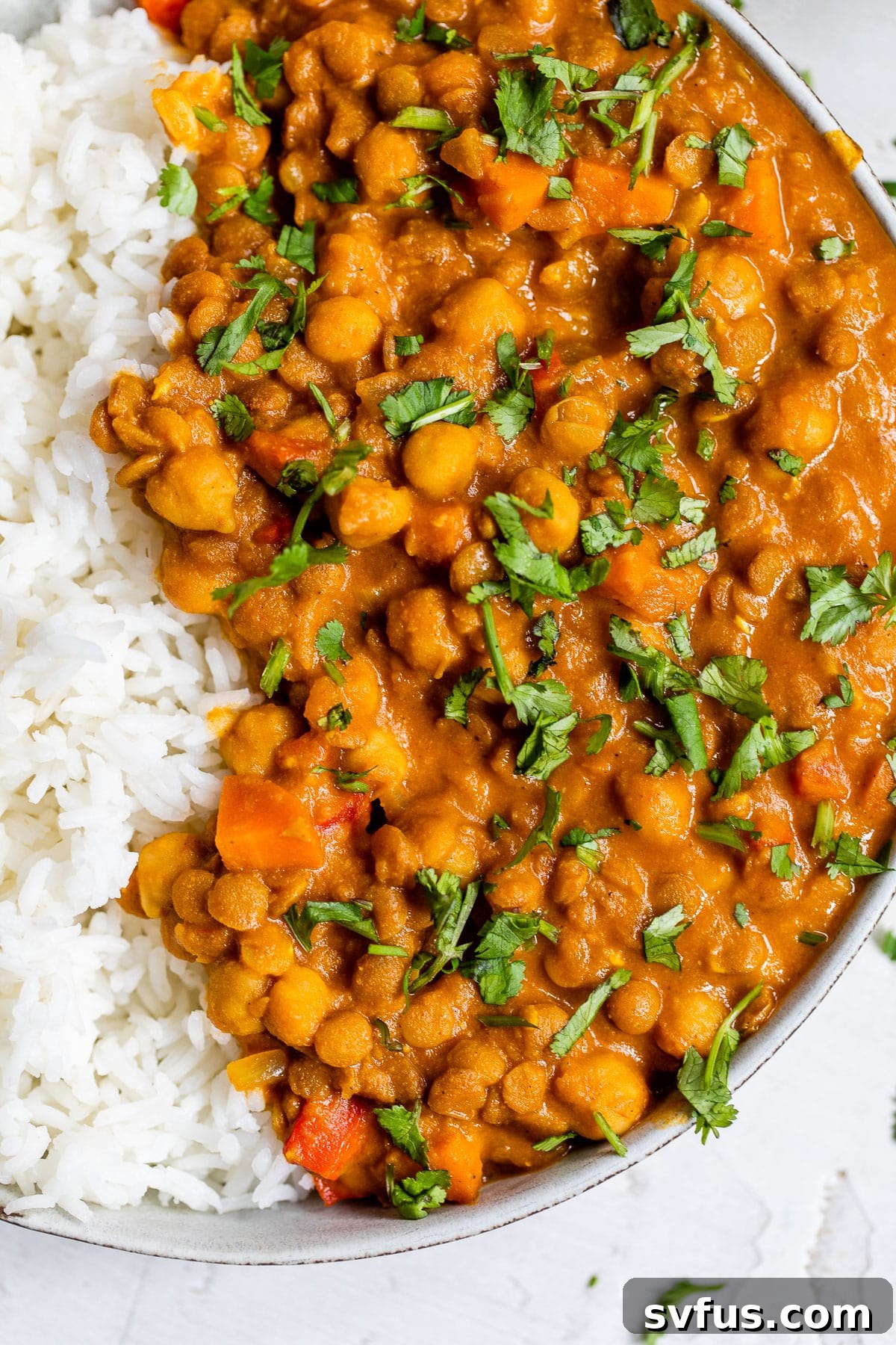 A close-up shot of the rich, thick chickpea and lentil curry sauce, highlighting its texture and inviting color.