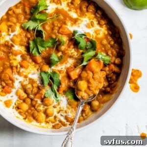 Close-up of a serving of chickpea lentil curry, garnished with fresh cilantro.