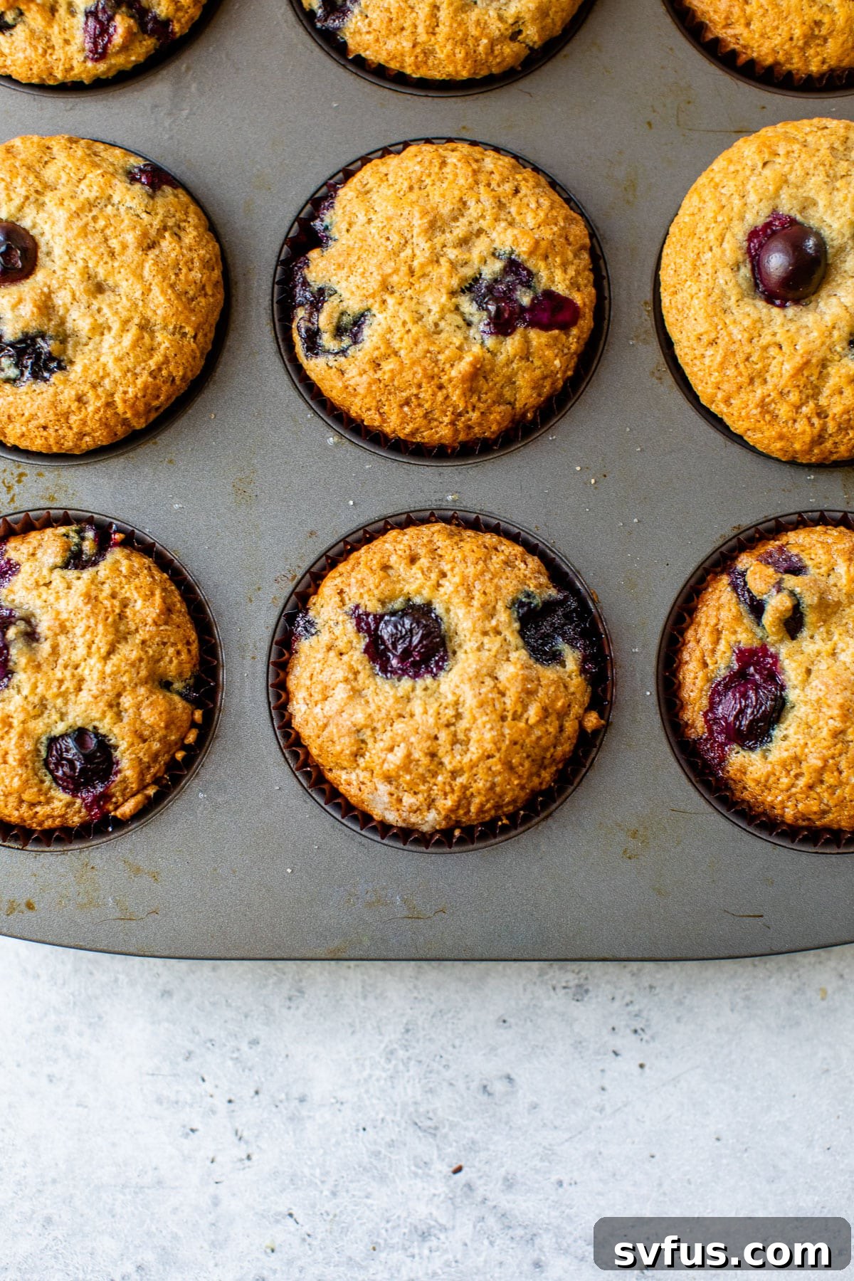 Freshly baked vegan blueberry muffins with visible blueberries in a muffin tin, right out of the oven.