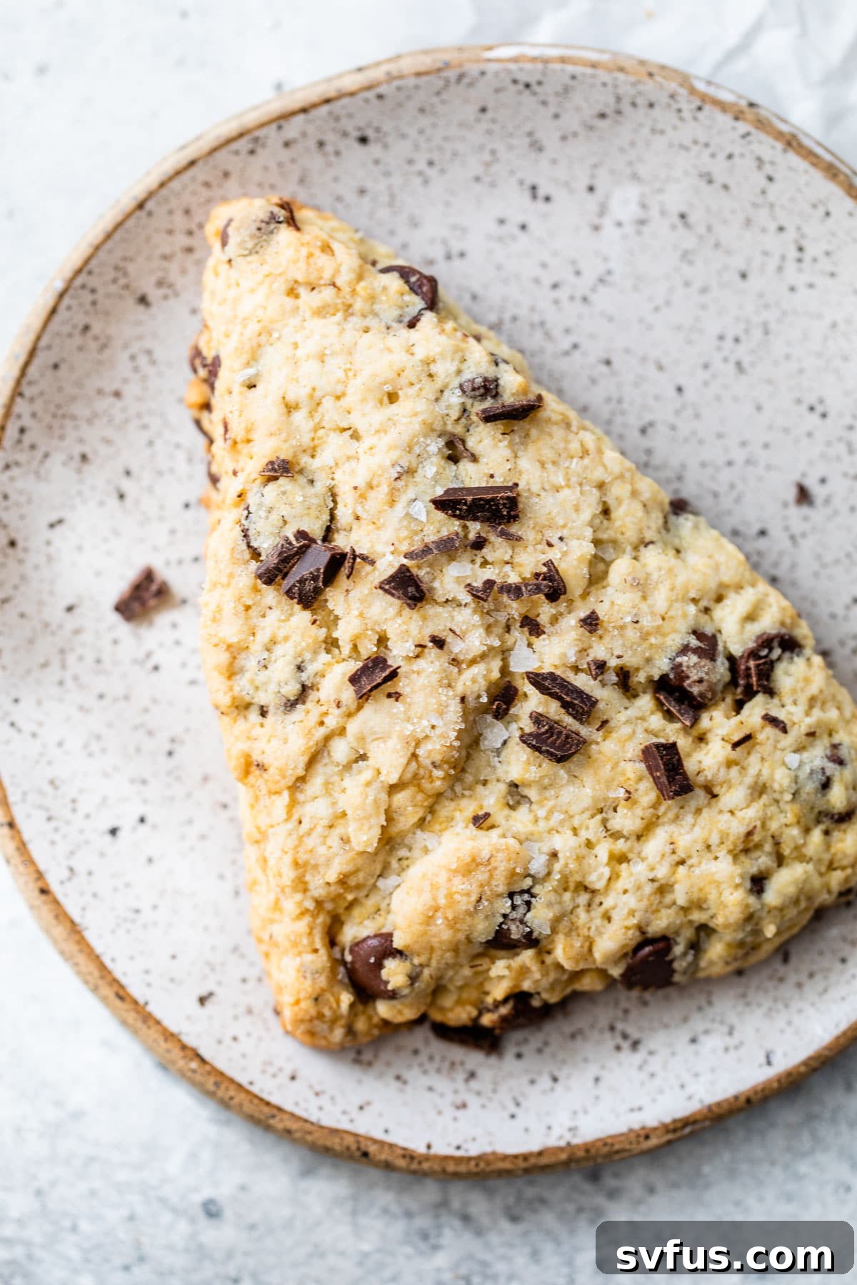 A golden-brown vegan chocolate chip scone on a white plate, garnished with melted chocolate and a few extra chocolate chips.