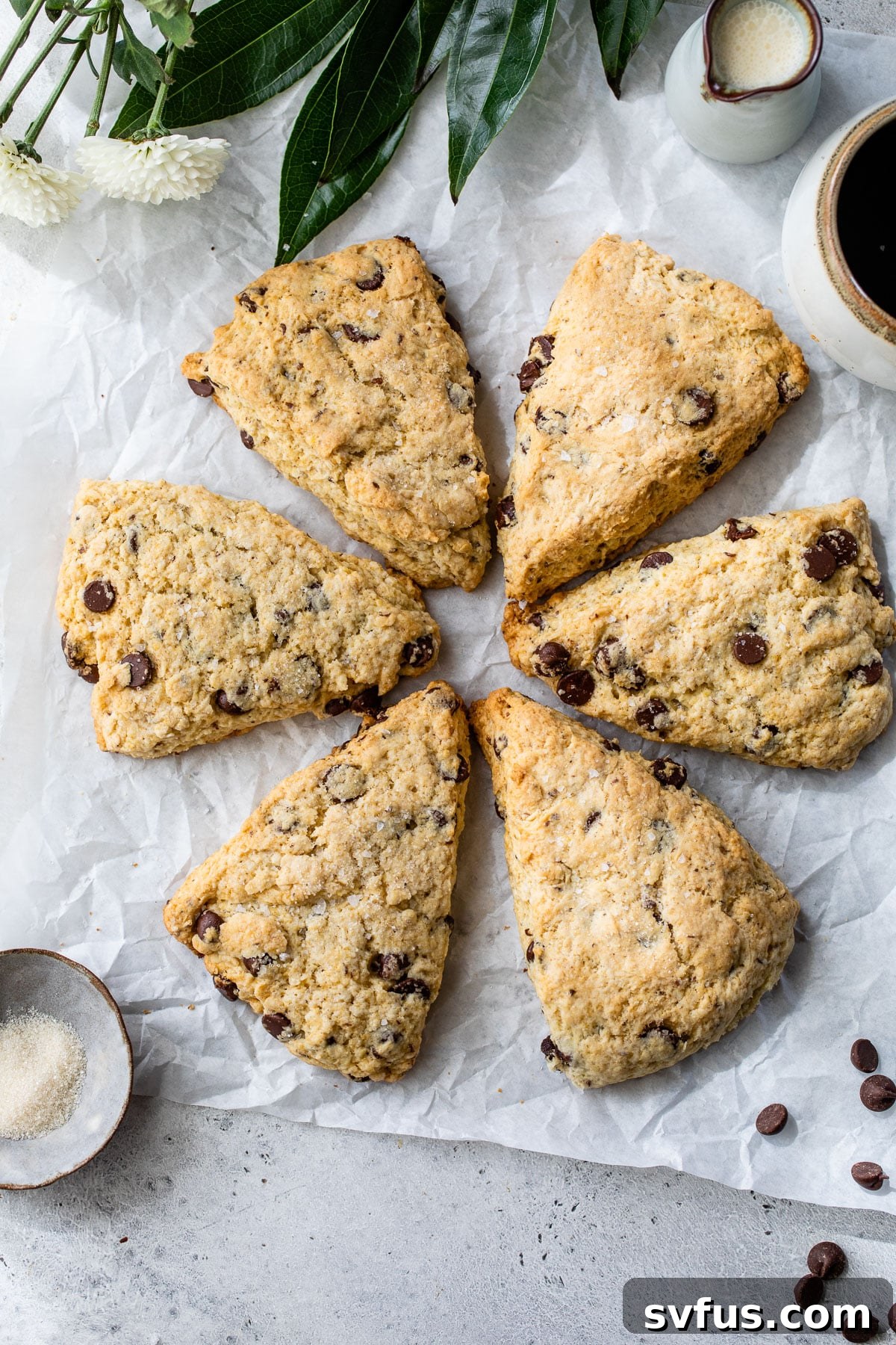 Unbaked vegan chocolate chip scone dough sprinkled with chocolate chips on parchment paper.