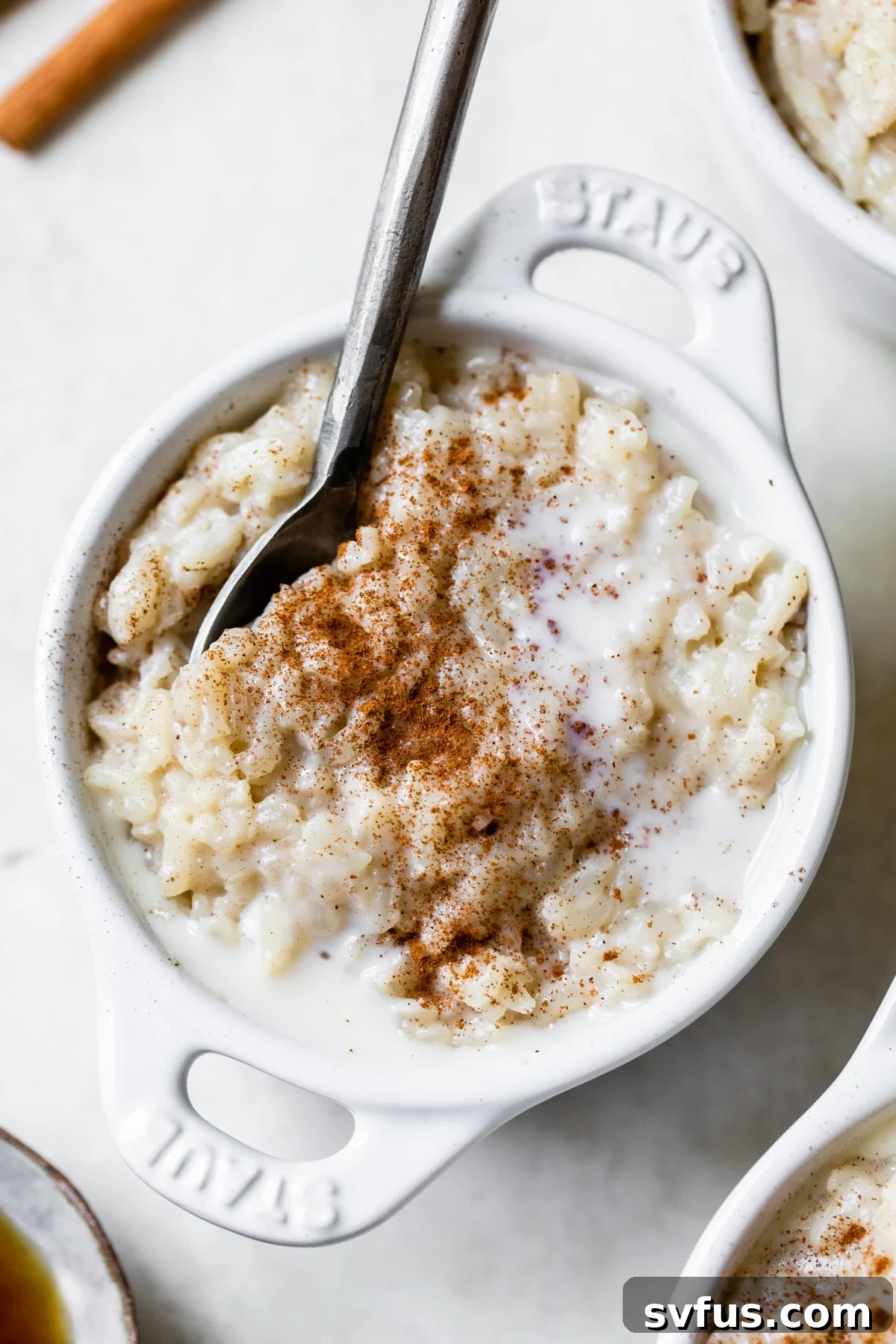 Close-up shot of creamy Vegan Arroz con Leche in a bowl, generously dusted with ground cinnamon, highlighting its inviting texture.