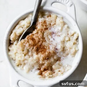 Creamy Vegan Arroz con Leche in a bowl.