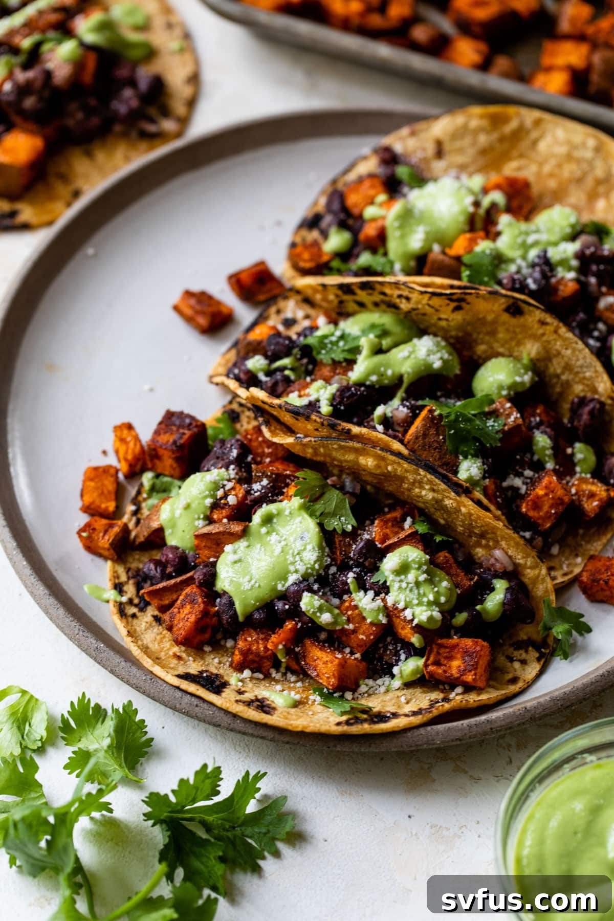 A collection of vibrant black bean sweet potato tacos on a rustic plate, emphasizing fresh ingredients and colorful garnishes, ready to be served.