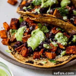 Black Bean Sweet Potato Tacos, showcasing a vibrant and delicious plant-based meal.