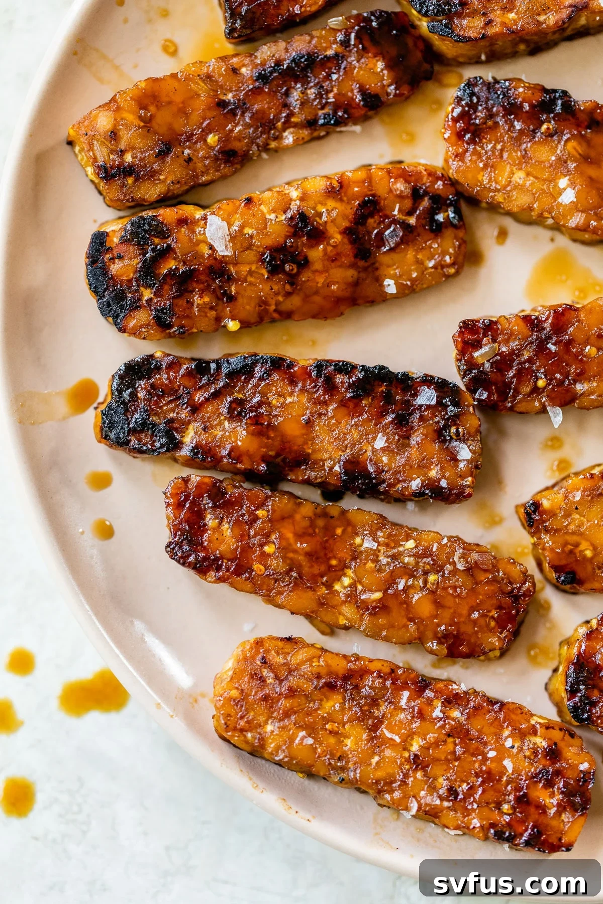 Close-up of grilled tempeh slices lightly sprinkled with sea salt, ready to be served.