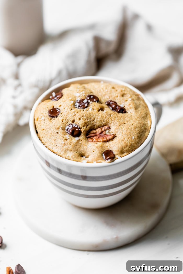 mug cake with chocolate chips