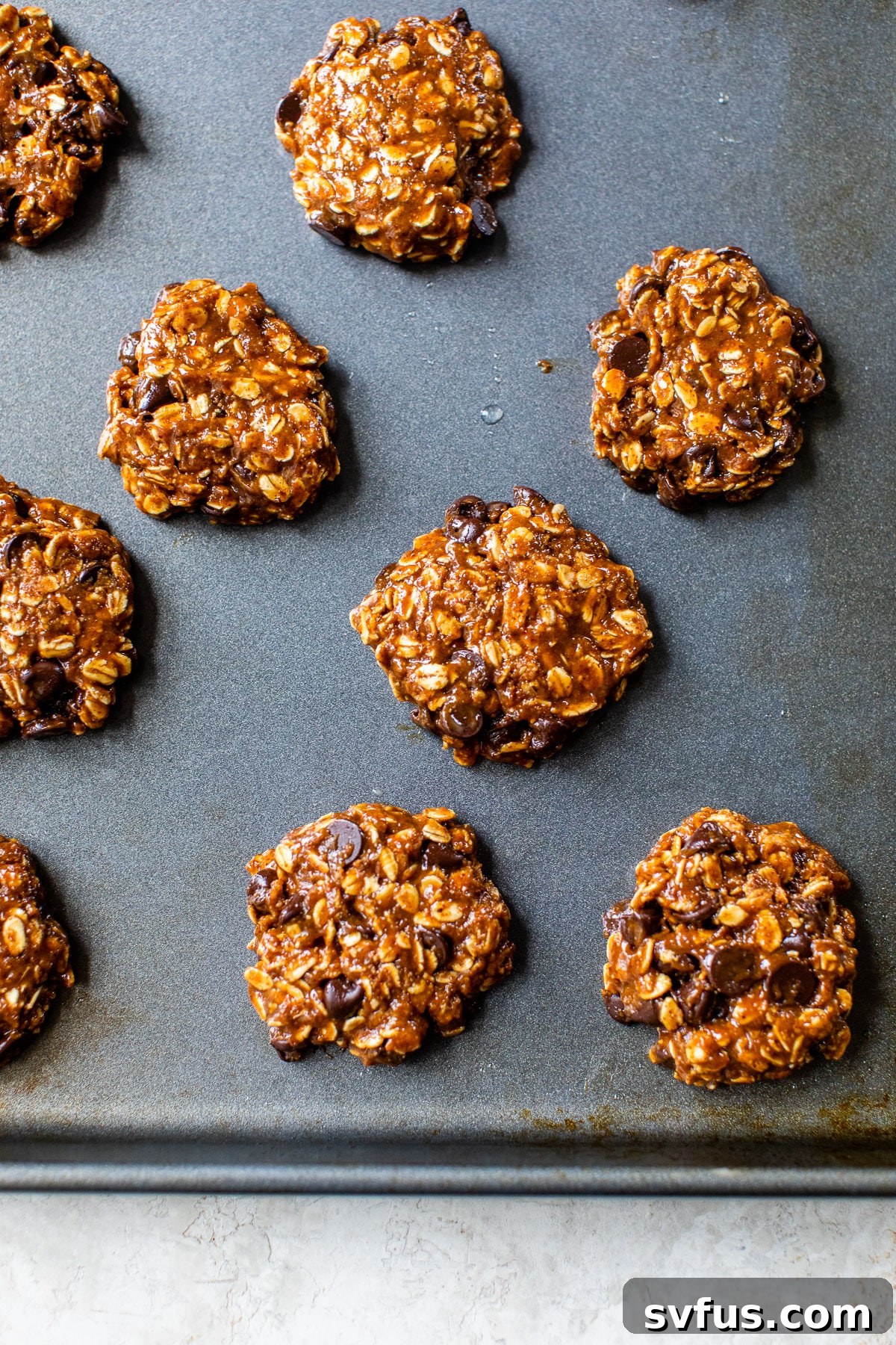 A baking sheet filled with perfectly spaced, unbaked almond butter oatmeal cookie dough flattened into discs, ready for the oven.
