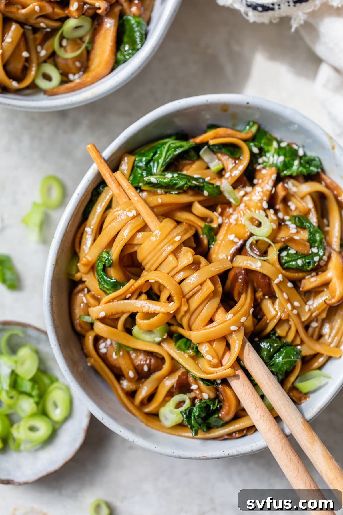 A close-up of a bowl of teriyaki noodles with chopsticks lifting a portion of the noodles, showcasing the rich sauce and fresh garnishes.