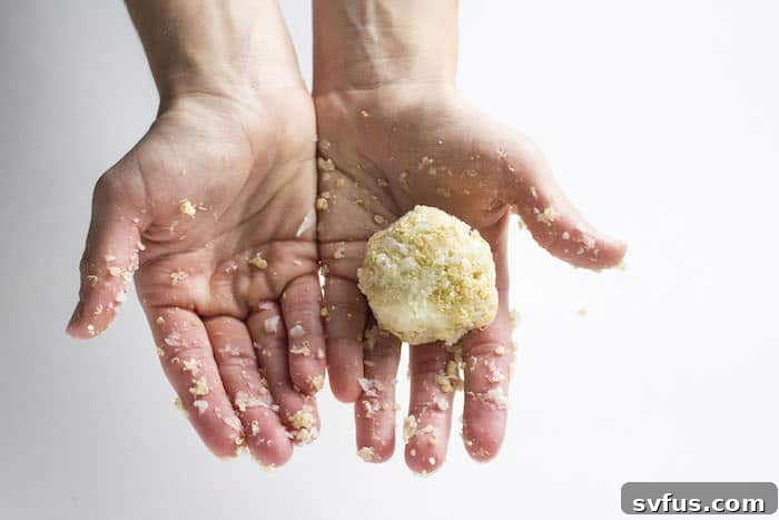 Close-up of the vegan meatball mixture, showcasing the texture.