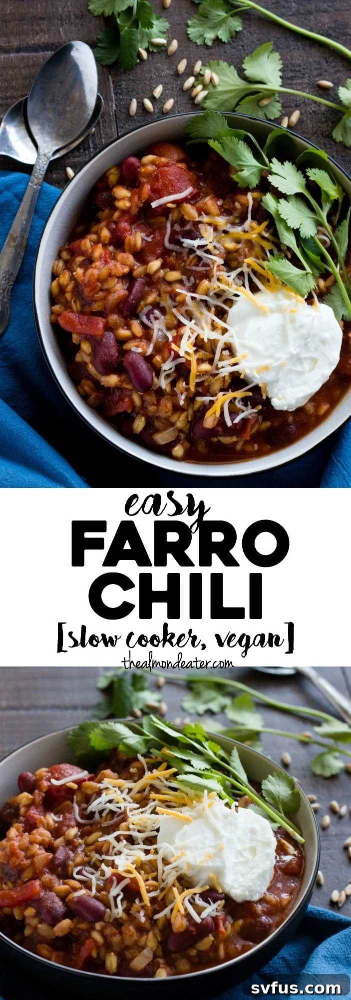 Easy Farro Chili | A chili recipe featuring farro and beans made in your slow cooker! Prep time is less than 5 minutes | thealmondeater.com