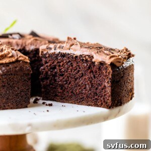 An entire chocolate cake topped with fresh mint and a slice cut out of it