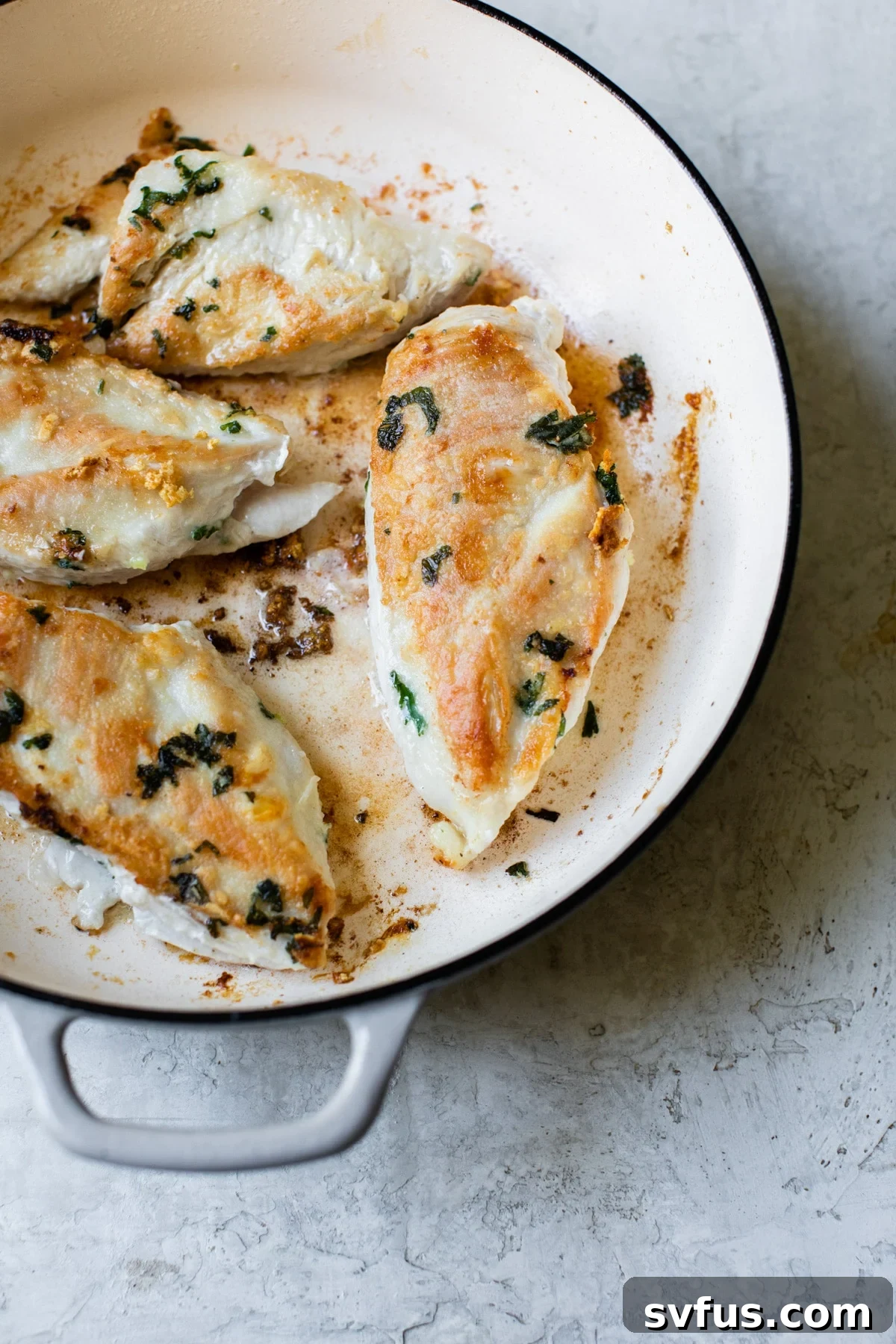 pan-seared chicken in a dutch oven with garlic