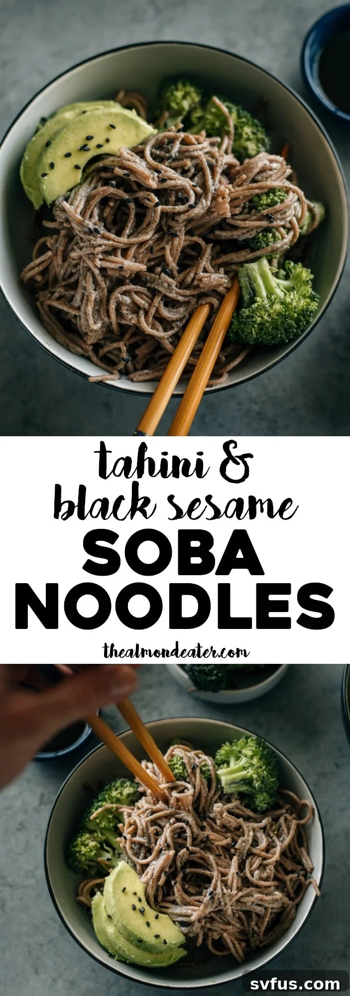 Delicious Black Sesame Soba Noodles with Broccoli and Avocado