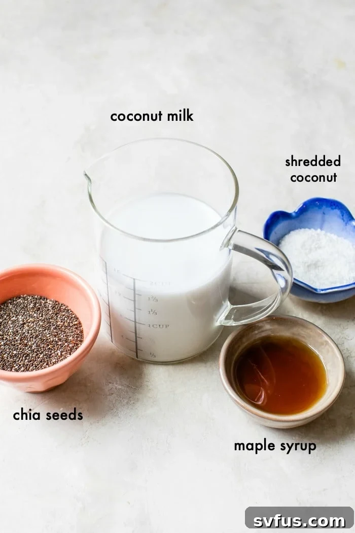 Bowls of raw ingredients including a can of coconut milk, a bowl of chia seeds, a bottle of maple syrup, and a bowl of shredded coconut.