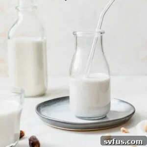 Learn how to make homemade peanut milk with this step-by-step tutorial | thealmondeater.com