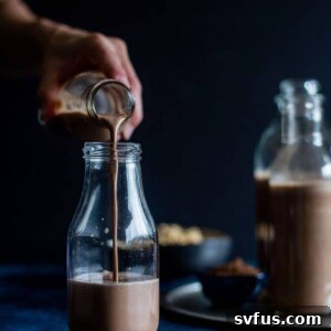 Chocolate Peanut Milk, a rich and creamy dairy-free alternative perfect for a healthy treat.