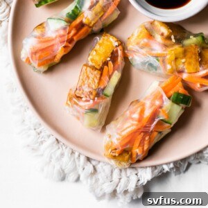 Sesame Tofu Spring Rolls on a plate