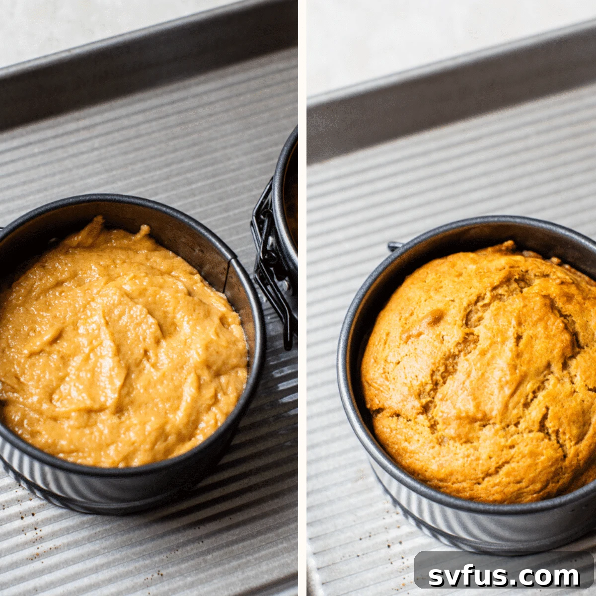 A baked dog cake still in its round cake pan.