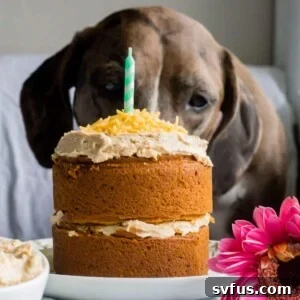 Dog eating a slice of a mini birthday cake