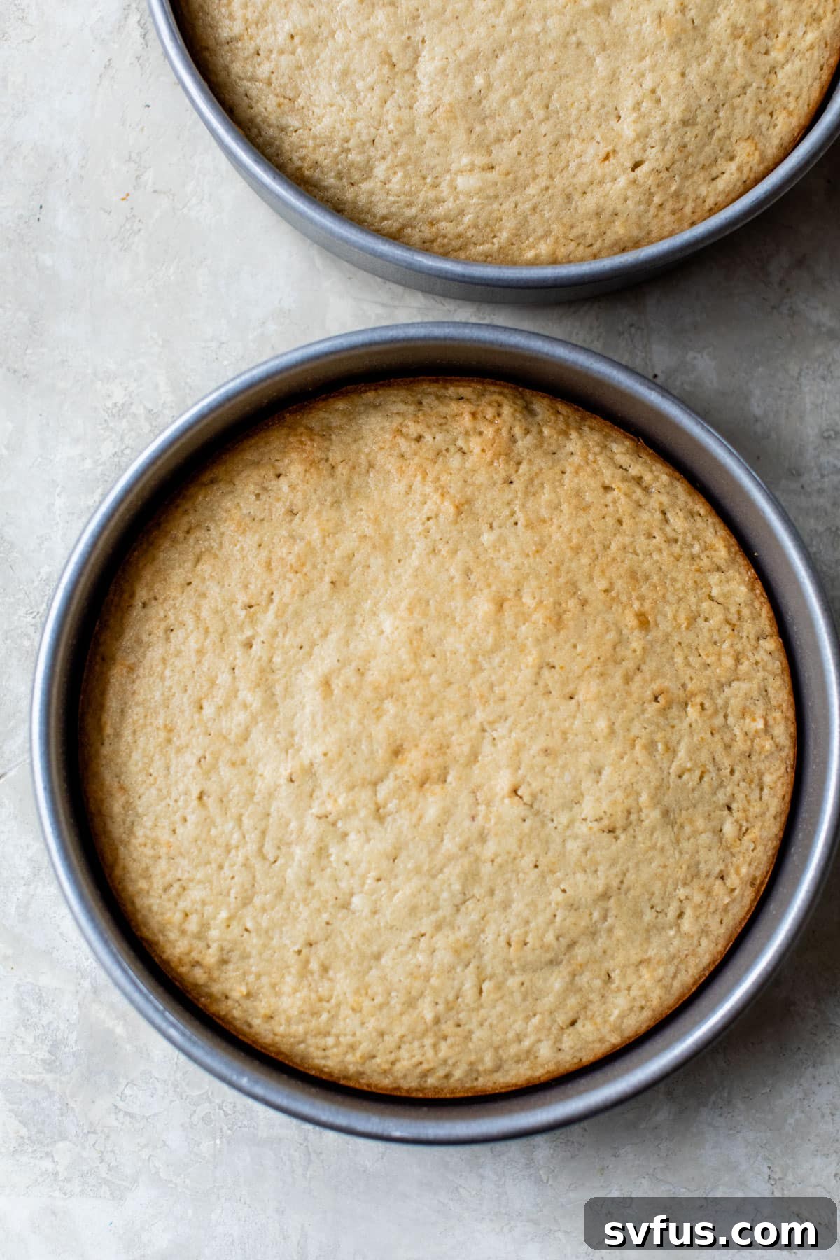 A perfectly baked vanilla cake in a round cake pan, ready for cooling and frosting.