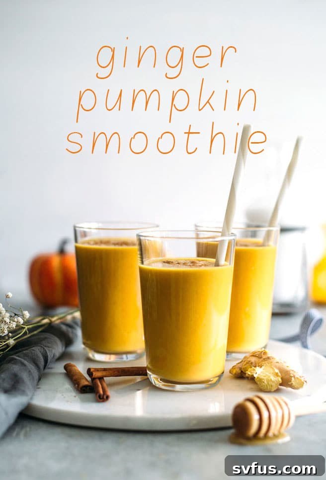 Creamy Ginger Pumpkin Smoothie topped with a sprinkle of cinnamon, perfect for autumn mornings.