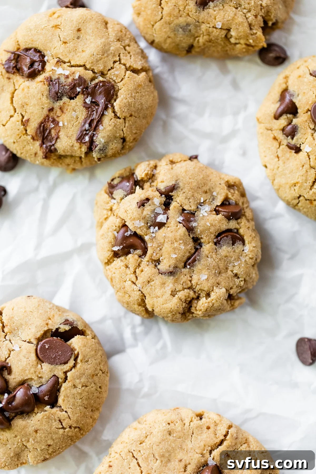 Several golden-brown gluten-free tahini chocolate chip cookies on parchment paper, showcasing their chewy texture and melted chocolate.