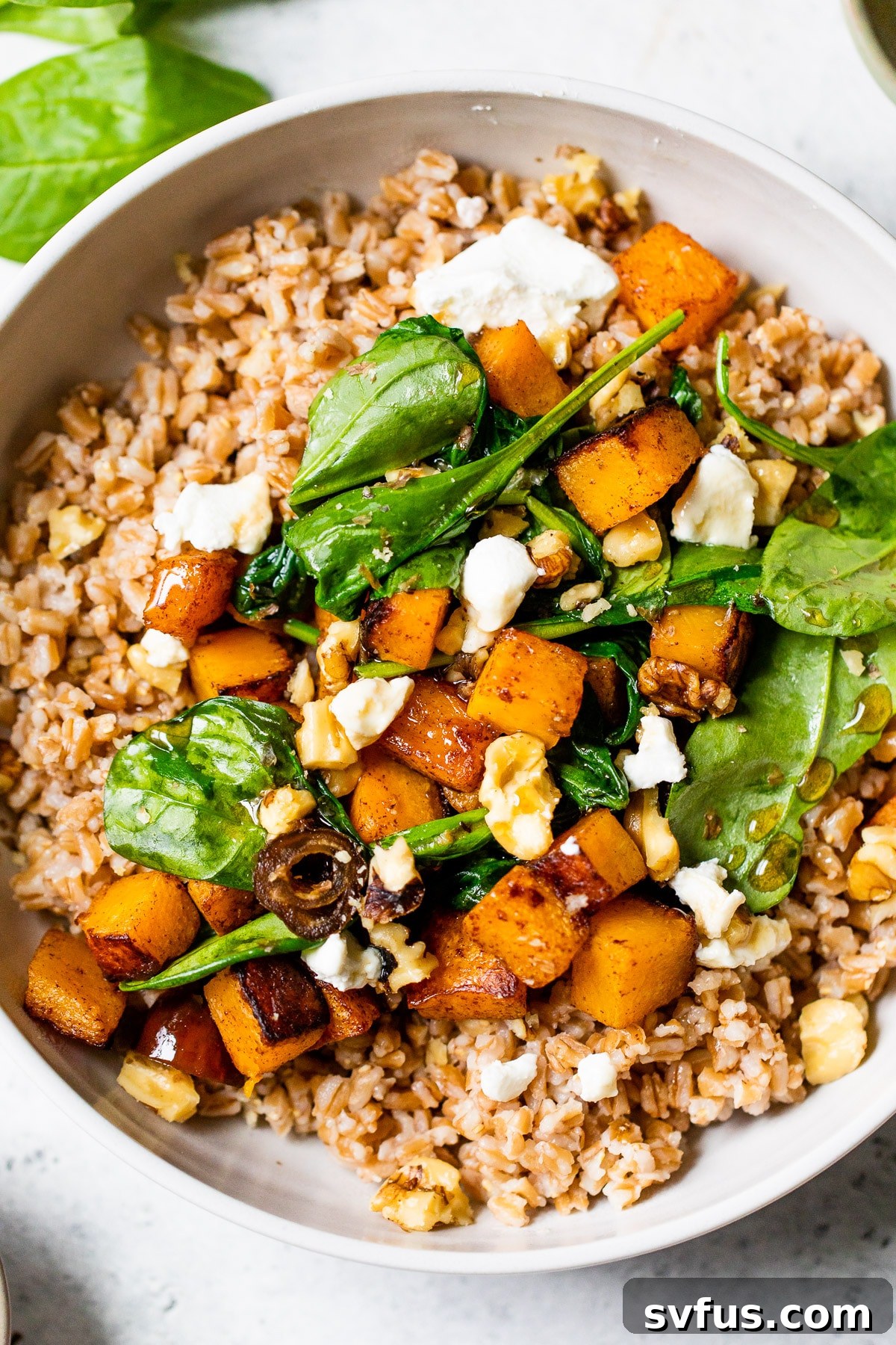 A close-up view of the assembled Butternut Squash Farro Salad, showcasing the diverse textures of farro, wilted spinach, vibrant squash pieces, and crumbled cheese.