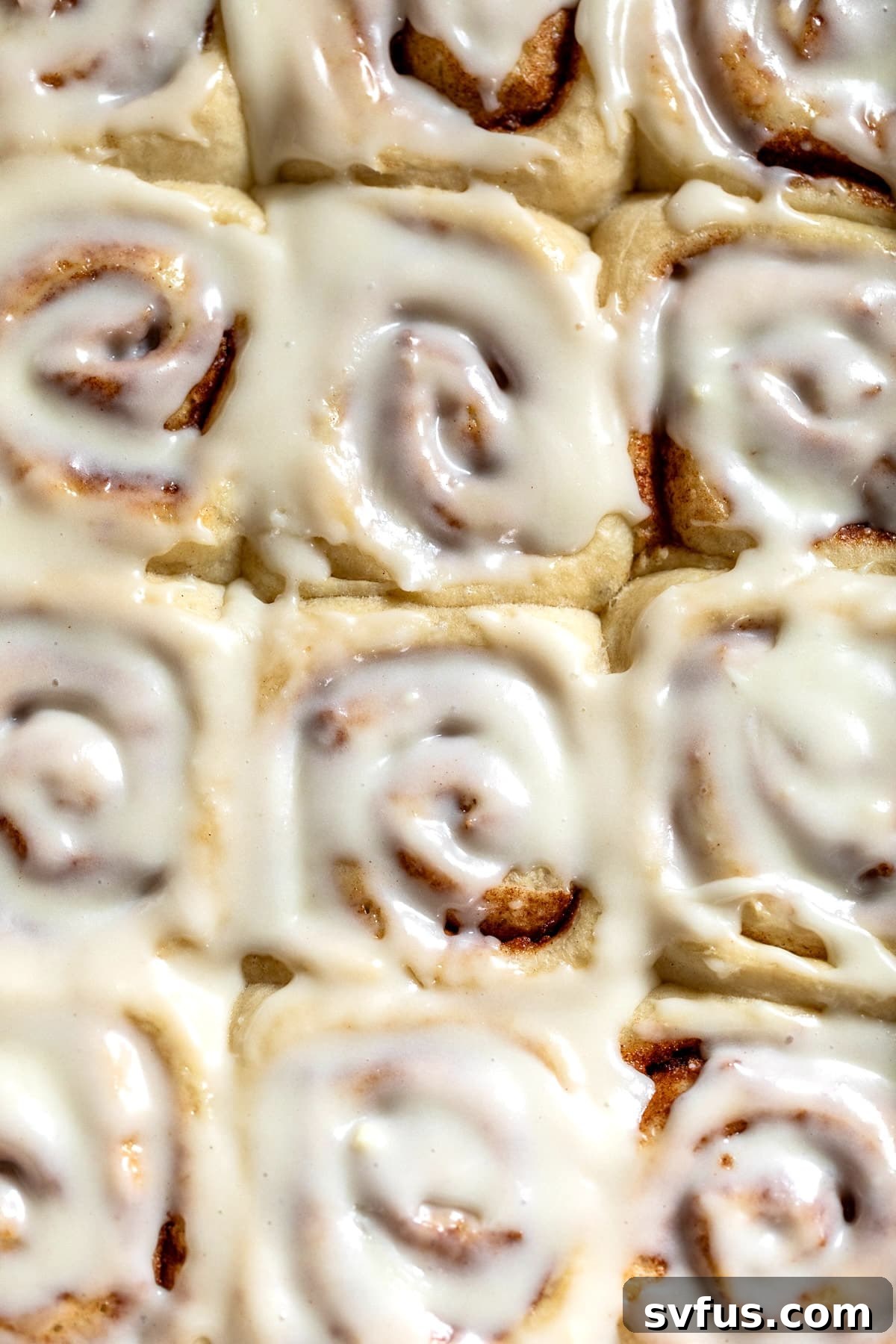 Close up on a batch of warm, cream cheese frosting-topped vegan cinnamon rolls in a white baking dish, ready to be enjoyed.