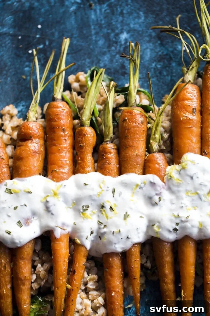 Roasted Carrots with farro, crunchy roasted chickpeas and a tangy lemon yogurt sauce