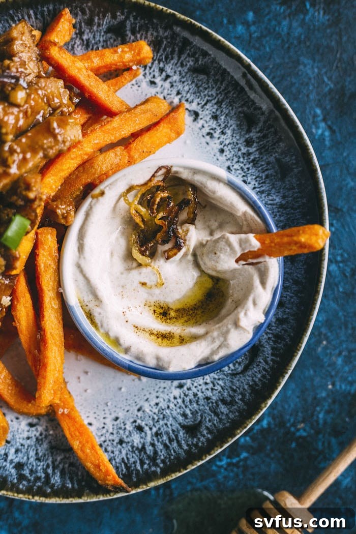 A close-up of honey ginger pork loaded fries with a side of creamy caramelized onion dip, ready to be enjoyed.