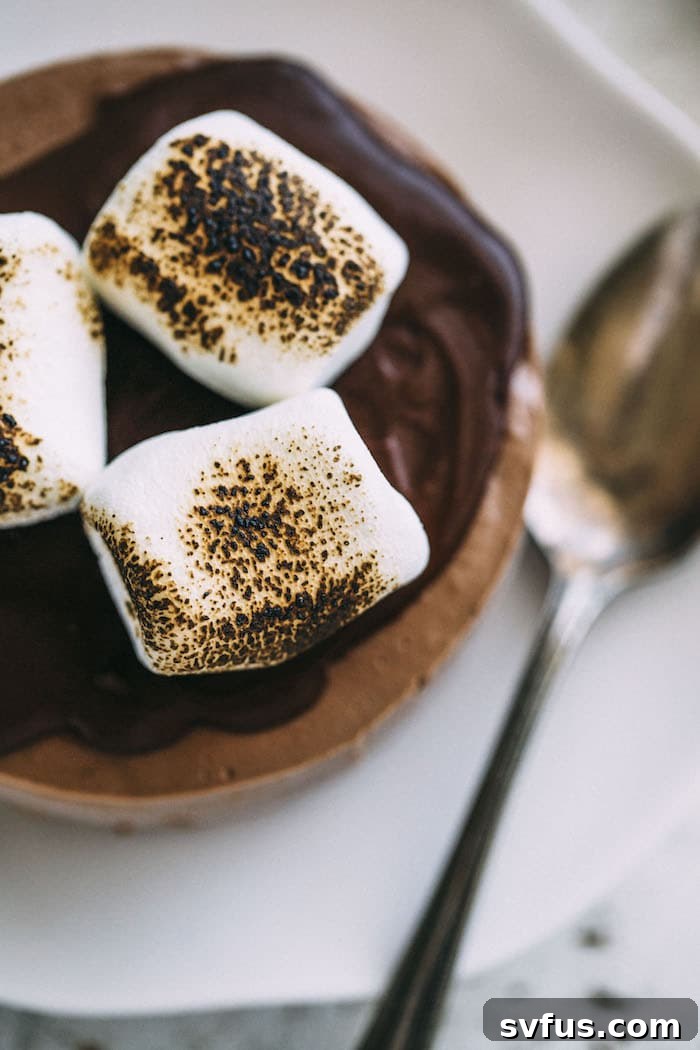 vegan s'mores cheesecakes topped with chocolate ganache and toasted marshmallows!
