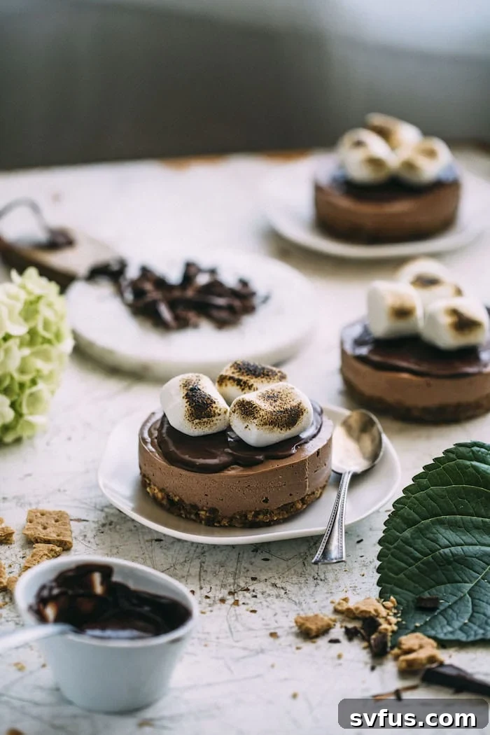 vegan s'mores cheesecakes topped with chocolate ganache!