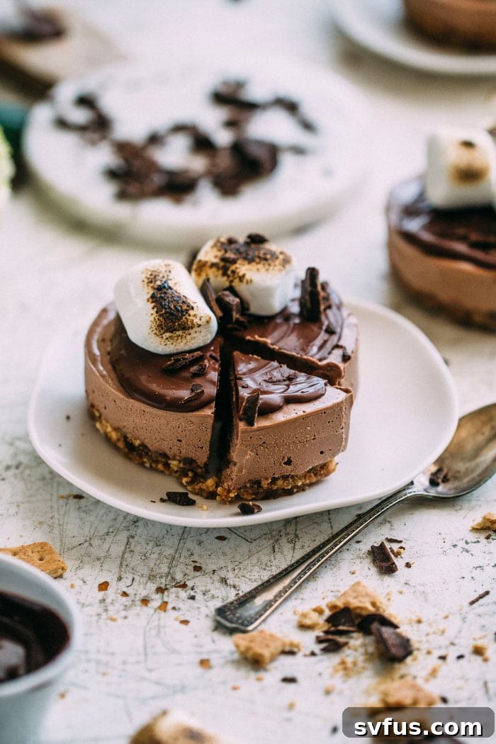vegan s'mores cheesecakes