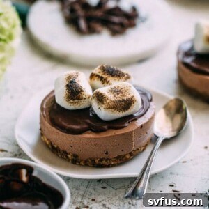 Mini Vegan S'mores Cheesecakes with toasted marshmallows