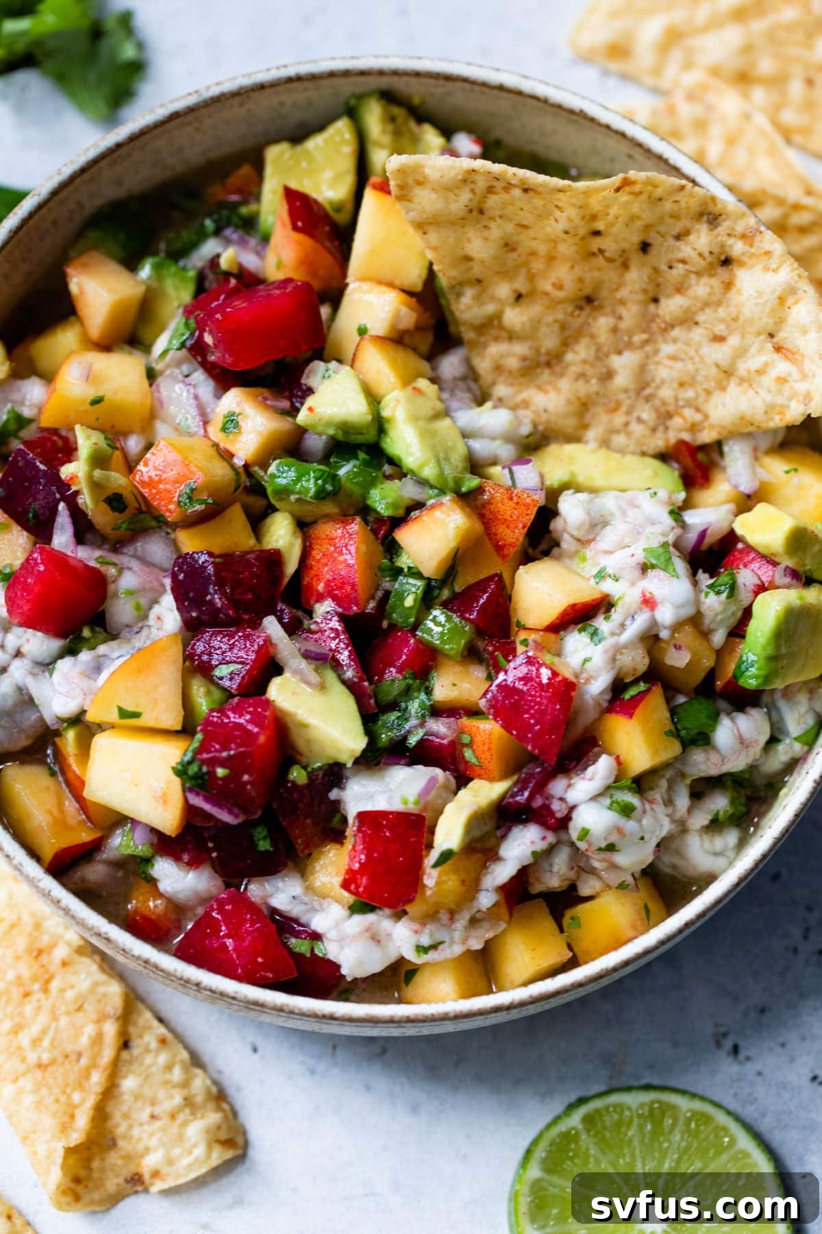 A bowl of Stone Fruit Ceviche with a single tortilla chip, highlighting its fresh and inviting presentation.