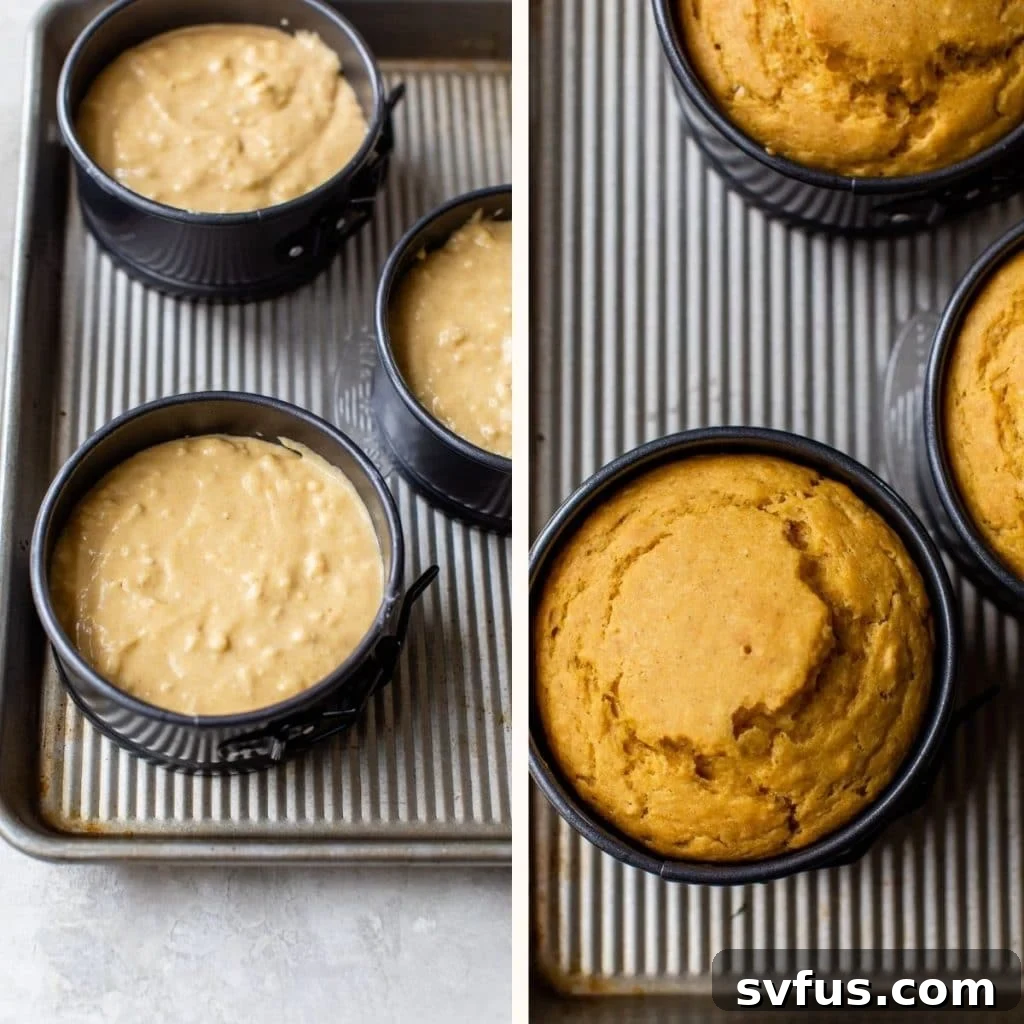 cake batter in three cake pans and baked cake in cake pans