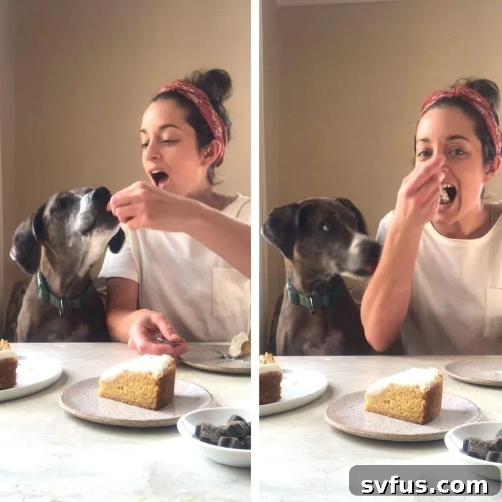 dog and human sharing a slice of cake