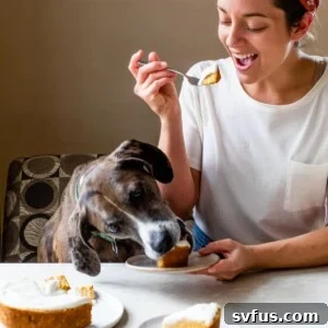 human and a puppy eating a slice of cake together