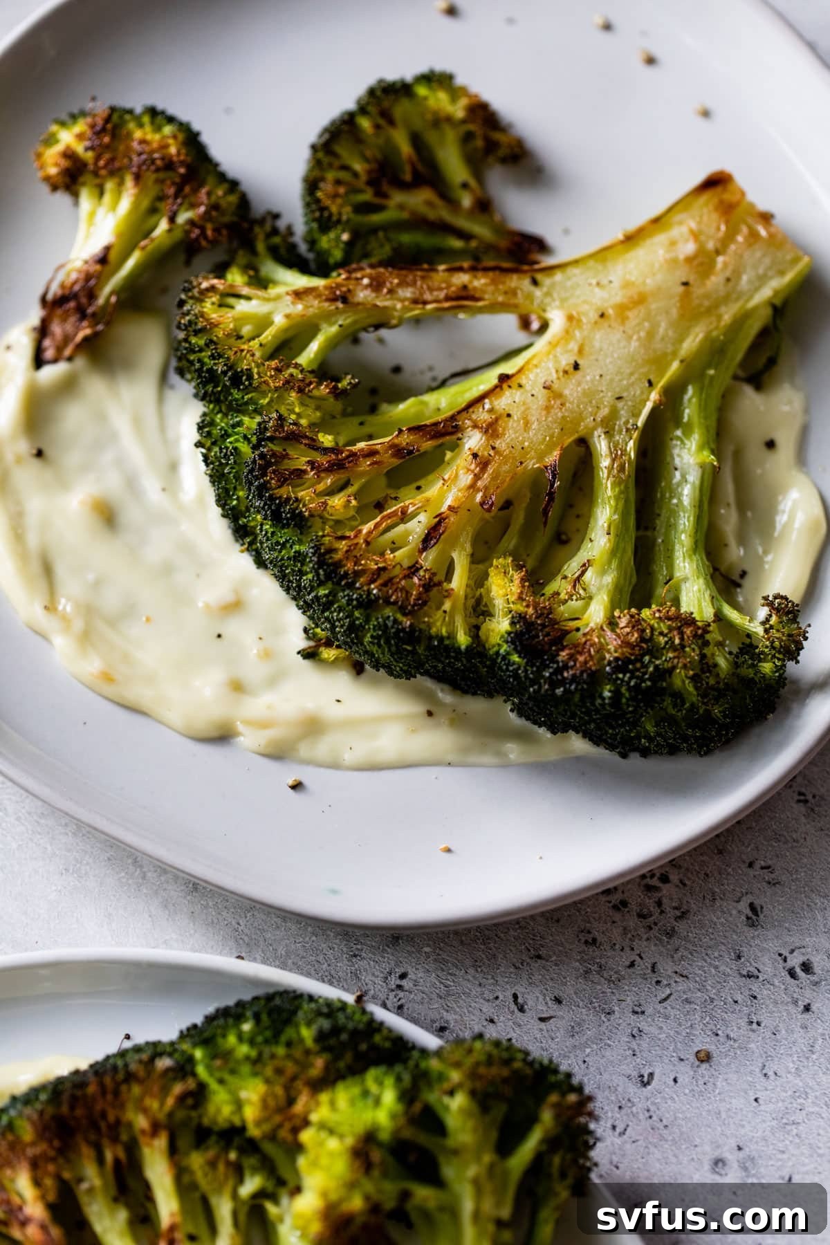 A single, perfectly roasted broccoli crown resting on a white plate, elegantly swiped with a generous dollop of creamy garlic aioli, ready to be enjoyed.